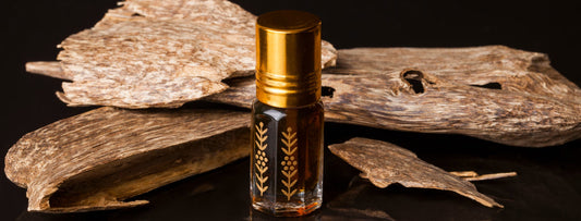 I migliori profumi all'oud