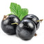 Blackcurrant
