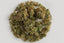 Cannabis