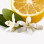 Mandarin blossom
