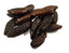 Tonka Bean
